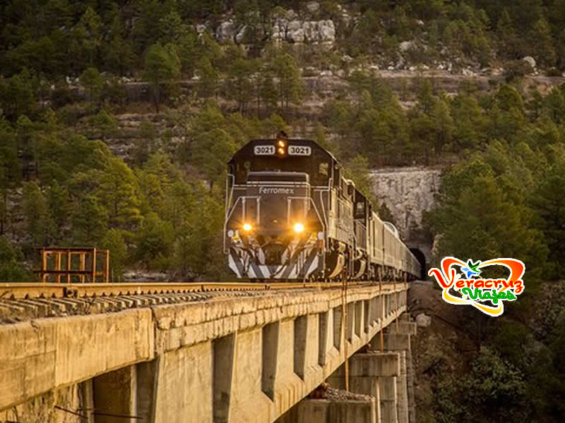 Excursión a El Chepe Saliendo De Veracruz, Cardel, Xalapa, Puebla y CDMX