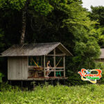 Hospedaje y Alojamiento En La Reserva Ecológica de Nanciyaga Hospedaje y Alojamiento En La Reserva Ecológica de Nanciyaga