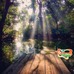 Hospedaje y Alojamiento En La Reserva Ecológica de Nanciyaga Hospedaje y Alojamiento En La Reserva Ecológica de Nanciyaga